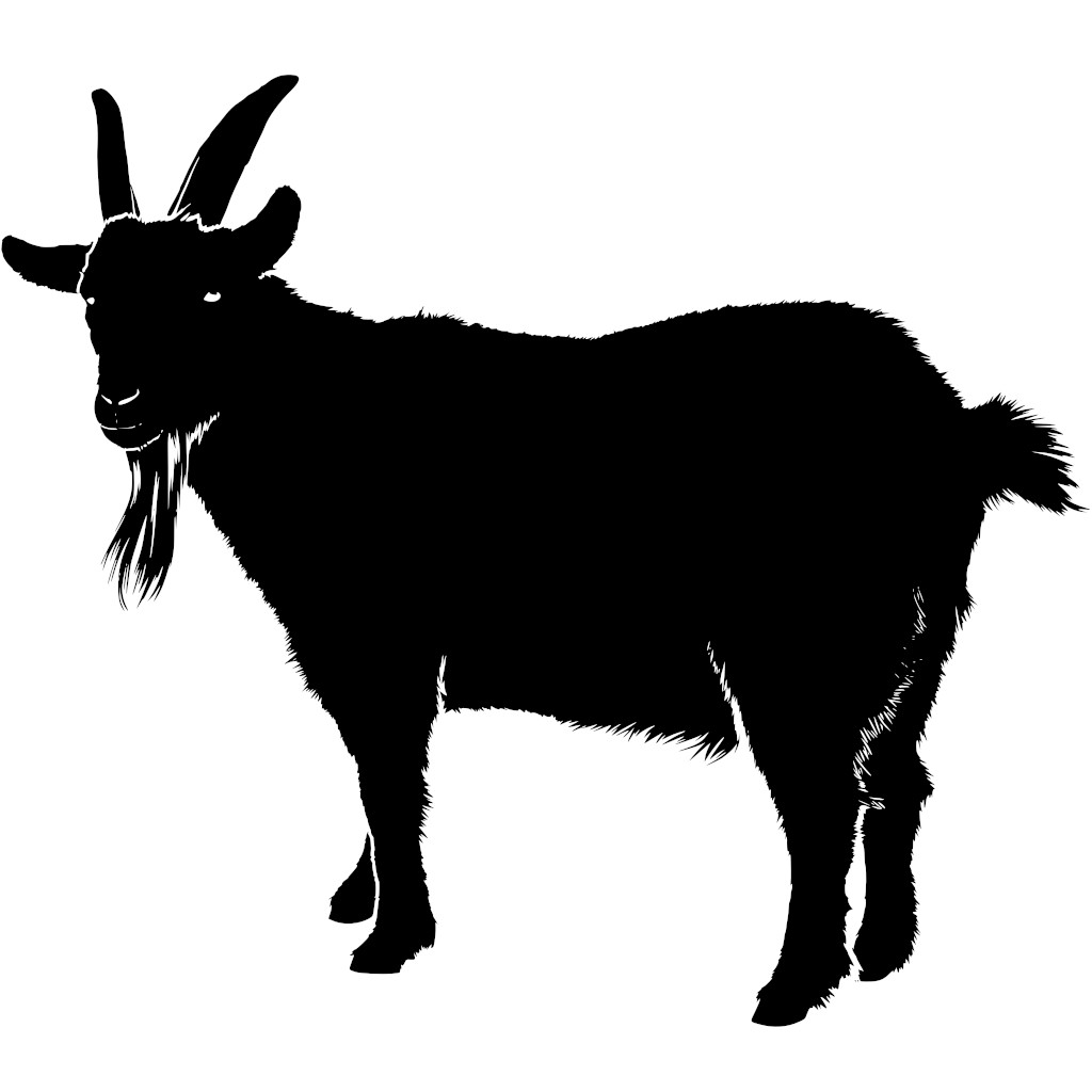 allaboutgoat
